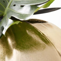 Greer Vase -Zgallerie 120209073 4 54063.1690281649.386.513