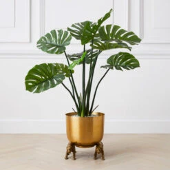 Nikki Chu - Jaguar Planter -Zgallerie 122424803 71996.1690292789.386.513