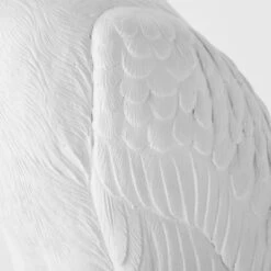 Standing Crane -Zgallerie 160208435 4 27240.1690283408.386.513