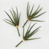 Faux Snake Grass Pick - Set Of 3 2 Faux Snake Grass Pick - Set Of 3 -Zgallerie 209204912 1 88389.1690278983.386.513 1