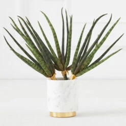 Faux Snake Grass Pick - Set Of 3 -Zgallerie 209204912 67761.1690278982.386.513 1