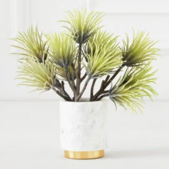 Faux Aeonium Succulent Pick - Set Of 3 -Zgallerie 209207468 91232.1690278981.386.513