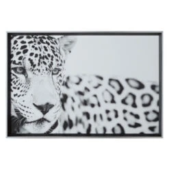 Majestic Calm 6 Majestic Calm -Zgallerie 725121331 2 81346.1690292327.386.513