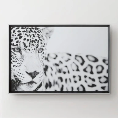 Majestic Calm 5 Majestic Calm - Image 3