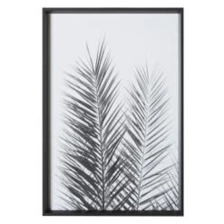 Palm Crisp -Zgallerie 725177204 2 35254.1690292326.386.513