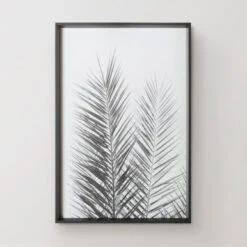 Palm Crisp -Zgallerie 725177204 62258.1690292326.386.513