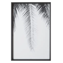 Palm Revive -Zgallerie 725179839 2 00002.1690292293.386.513 1