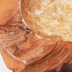 Organic Capiz Bowl -Zgallerie webimage 160160778 DTL