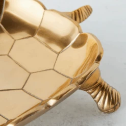 Nikki Chu - Tortoise Plate -Zgallerie webimage 160219677 2 jpg