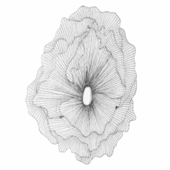 Large Poppy Flower Wall Decor - Silver/Black -Zgallerie webimage 162120419 1 jpg