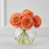 Ranunculus In Glass - Sunset -Zgallerie webimage 168102844 jpg