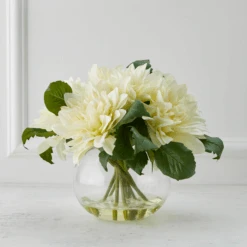 Dahlia In Glass - White