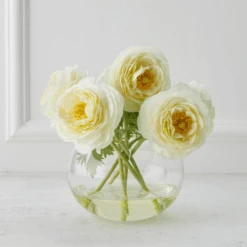 Ranunculus In Glass - White