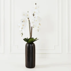 Nikki Chu - Orchid In Black Vase -Zgallerie webimage 168213601 ALT