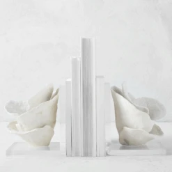 Coral Bookends -Zgallerie webimage 186978354 1 jpg