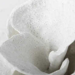 Coral Bookends -Zgallerie webimage 186978354 2 jpg 3