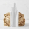 Lion Head Bookends -Zgallerie webimage 186978356 jpg