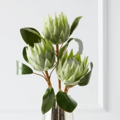 Protea Queen Spray - Set Of 3