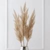 Pampas Grass - Set Of 3 -Zgallerie webimage 200200552 jpg