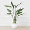Faux Potted Water Canna -Zgallerie webimage 207190249