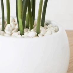 Faux Potted Water Canna -Zgallerie webimage 207190249 dtl1 1