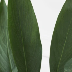 Faux Potted Water Canna -Zgallerie webimage 207190249 dtl2 1