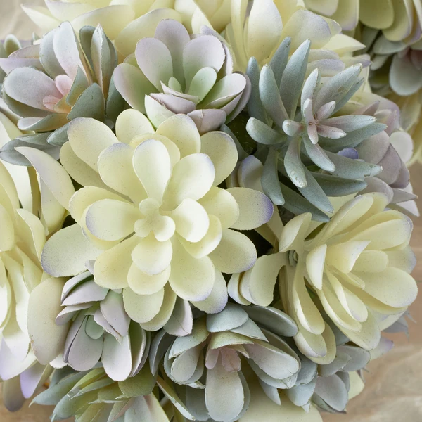 Faux Succulent Sphere 5 Faux Succulent Sphere - Image 3