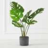 Faux Monstera In Pot -Zgallerie webimage 207203517