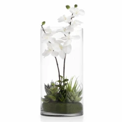 Faux Potted Orchid With Succulents