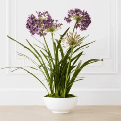 Faux Potted Agapanthus