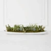 Succulent Assortment In Wood Tray -Zgallerie webimage 207999710
