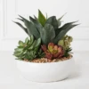 Succulent Assortment In Bowl -Zgallerie webimage 207999711