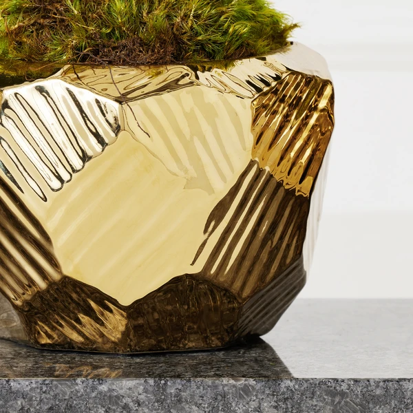 Orchid Trio With Granite Slab 4 Orchid Trio With Granite Slab - Image 2