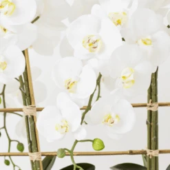 Orchid Trio With Granite Slab 7 Orchid Trio With Granite Slab -Zgallerie webimage 207999715 dtl2