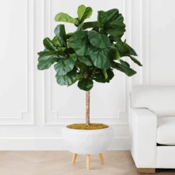 Fiddle Leaf Tree In Bowl -Zgallerie webimage 207999719 alt1