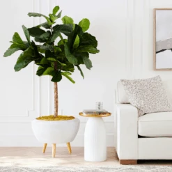 Fiddle Leaf Tree In Bowl -Zgallerie webimage 207999719 alt6 DSI FIDDLE LEAF IN WHITE POT rv