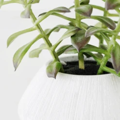 Tree Succulents In Planter -Zgallerie webimage 207999954 dtl