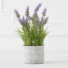 Lavender In Grey Pot -Zgallerie webimage 207999958