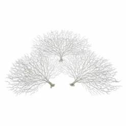 Faux Coral Fan - Set Of 3
