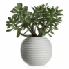 Faux Sedum Succulent Pick - Set Of 3