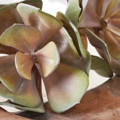 Faux Echeveria Succulent Pick -Zgallerie webimage 209200688 dtl