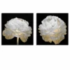 Gold And White Blossom On Black - Set Of 2 -Zgallerie webimage 630160015 jpg