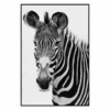Exotic Animals 1 -Zgallerie webimage 630179050 jpg