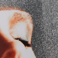 Motomami 7 Motomami -Zgallerie webimage 630188833 630148449 630196359 DTL1