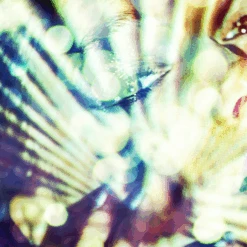 Disco Girl -Zgallerie webimage 630189642 630180499 DTL1