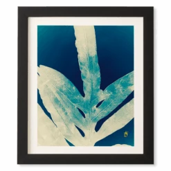 Green Fern -Zgallerie webimage 630209315 SIL