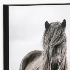 Full Fringe -Zgallerie webimage 630334937 alt2