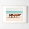 Summer Beach Horses -Zgallerie webimage 630336232