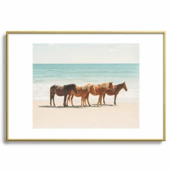 Summer Beach Horses -Zgallerie webimage 630336232 SIL