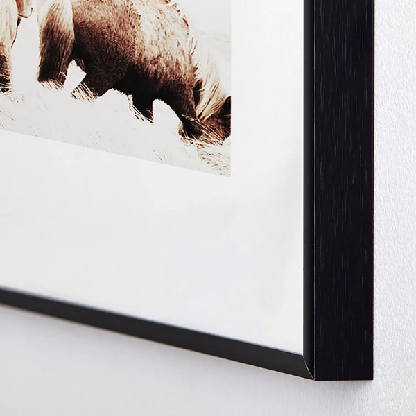 Wild And Free 4 Wild And Free - Image 2